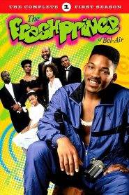 Willy il Principe di Bel-Air: Stagione 1