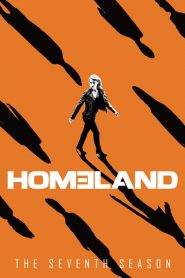 Homeland – Caccia alla spia: Stagione 7
