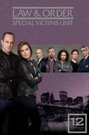 Law & Order – Unità vittime speciali: Stagione 12