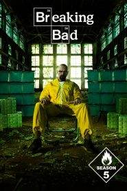 Breaking Bad – Reazioni collaterali: Stagione 5