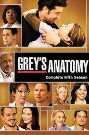 Grey’s Anatomy: Stagione 5