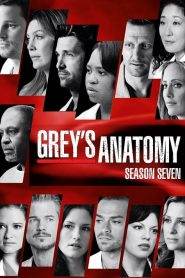 Grey’s Anatomy: Stagione 7