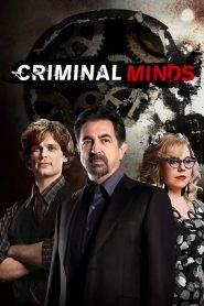 Criminal Minds: Stagione 14
