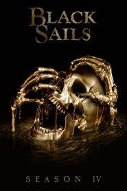 Black Sails: Stagione 4