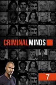 Criminal Minds: Stagione 7