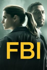 FBI: Stagione 2