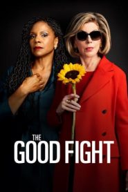 The Good Fight: Stagione 6