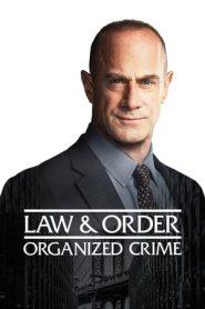 Law & Order: Organized Crime: Stagione 2