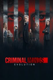 Criminal Minds: Stagione 17