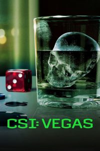 CSI: Vegas: Stagione 3