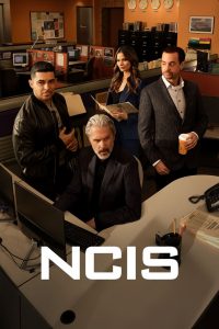 NCIS – Unità anticrimine: Stagione 22