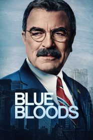 Blue Bloods: Stagione 14