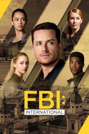FBI: International: Stagione 4