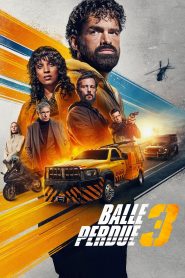 Proiettile vagante 3