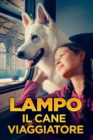 Lampo il cane viaggiatore