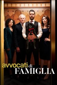 Avvocati di famiglia: Stagione 4