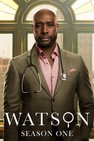 Watson: Stagione 1
