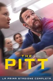 The Pitt: Stagione 1