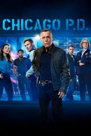 Chicago P.D.: Stagione 13