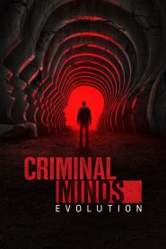 Criminal Minds: Stagione 19